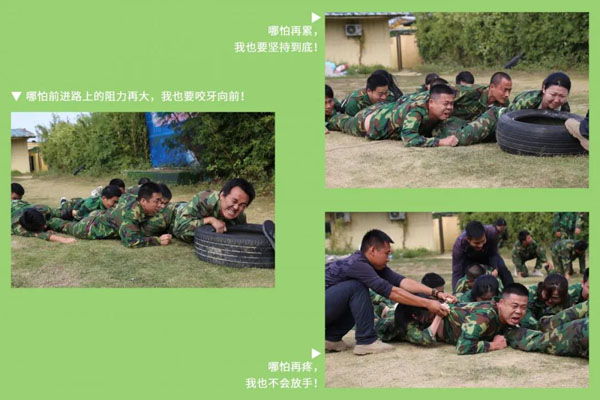 球探新能源_厚积薄发_赢胜2021(图8)