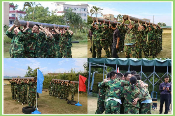 球探新能源_厚积薄发_赢胜2021(图10)
